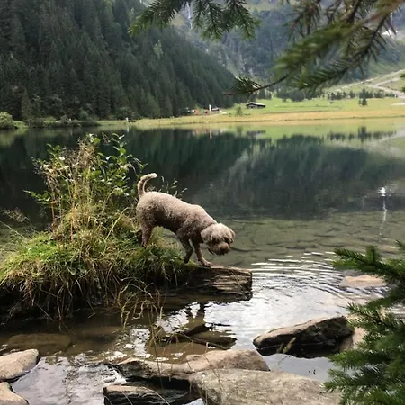 Bird Nest Hohe Tauern Апартаменты