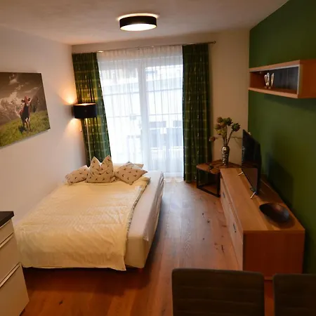 Bird Nest Hohe Tauern Апартаменты Нойкирхен-ам-Гросфенедигер